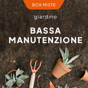 Giardino a bassa manutenzione