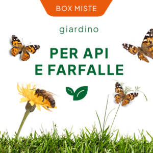 Giardino per api e farfalle
